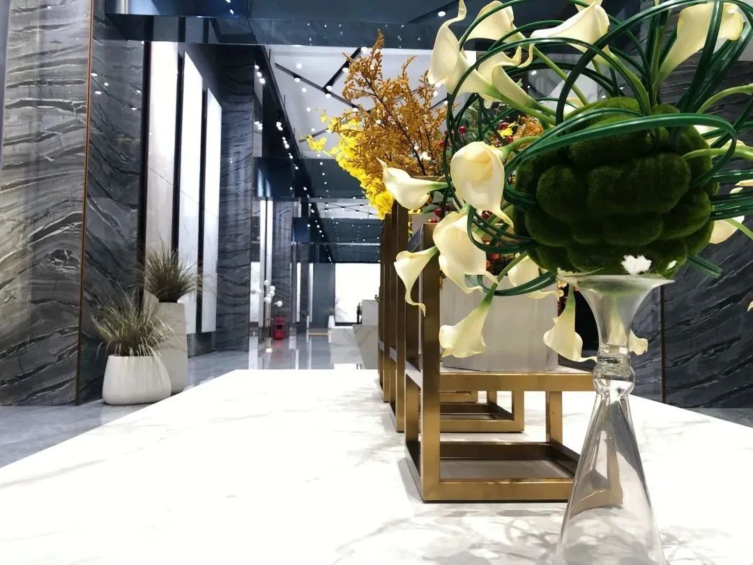 禪城區(qū)府辦副主任赴德利豐家居開(kāi)展調(diào)研工作(圖1)