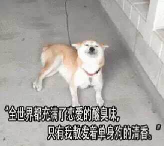 官宣！聽說德利豐大巖板戀愛了？(圖3)
