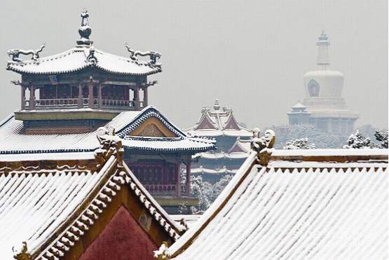 新品品鑒｜東方傲雪 以雪為墨，繪就一抹遺世獨(圖5)